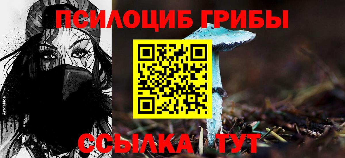 Галлюциногенные грибы прущие грибы Севастополь
